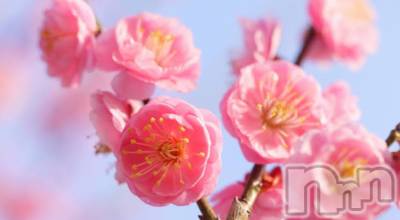 上田発デリヘル 人妻華道 上田店(ヒトヅマハナミチウエダテン) かおり(35)の2月20日写メブログ「春一番」