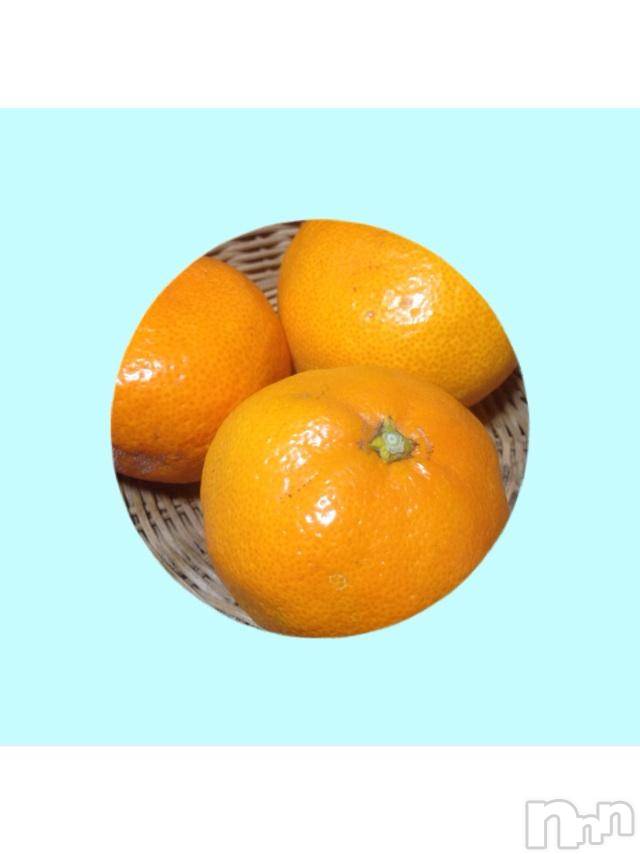 ĥʥå륺СݿξСޤޤ(ɥ󥷥祯祦ޥޥ) 2015ǯ118̥֥