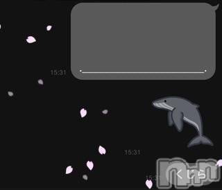 ĥʥå륺СݿξСޤޤ(ɥ󥷥祯祦ޥޥ) ߤ(20)41̥֥4/1 spling