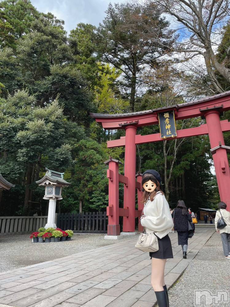 ʥå륺СʥåBar Peace(ʥåС ԡ) ҥʤ1115̥֥⛩️✨