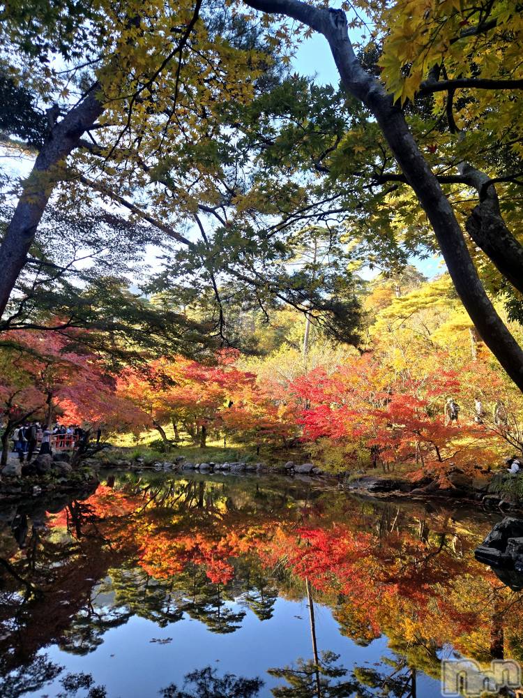 ʥå륺СʥåBar Peace(ʥåС ԡ) ҥʤ1113ֺ̥֥ǯ