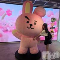 ����������ʥå��������륺�С����ʥå�Bar Peace(���ʥå��С� �ԡ���) �ҥʤ�12��15���̥�֥����֤���ˤ���29��🫡��