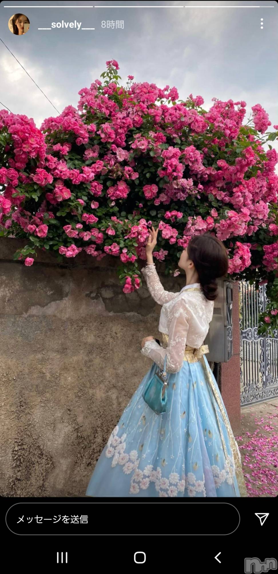 ʥå륺СʥåBar Peace(ʥåС ԡ) 2021ǯ623̥֥👗