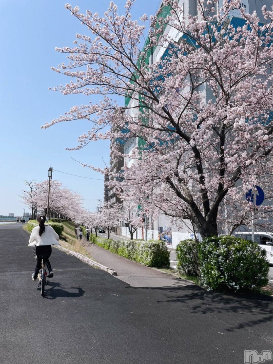 ʥå륺СʥåBar Peace(ʥåС ԡ) 2022ǯ413ָ̥֥֤🌸🚲🍻