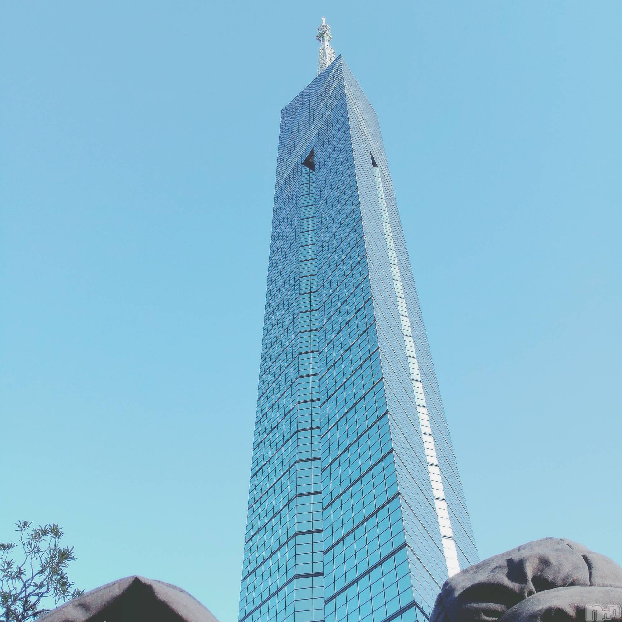 ʥå륺СʥåBar Peace(ʥåС ԡ) 2025ǯ223̥֥˱Ķ🐧