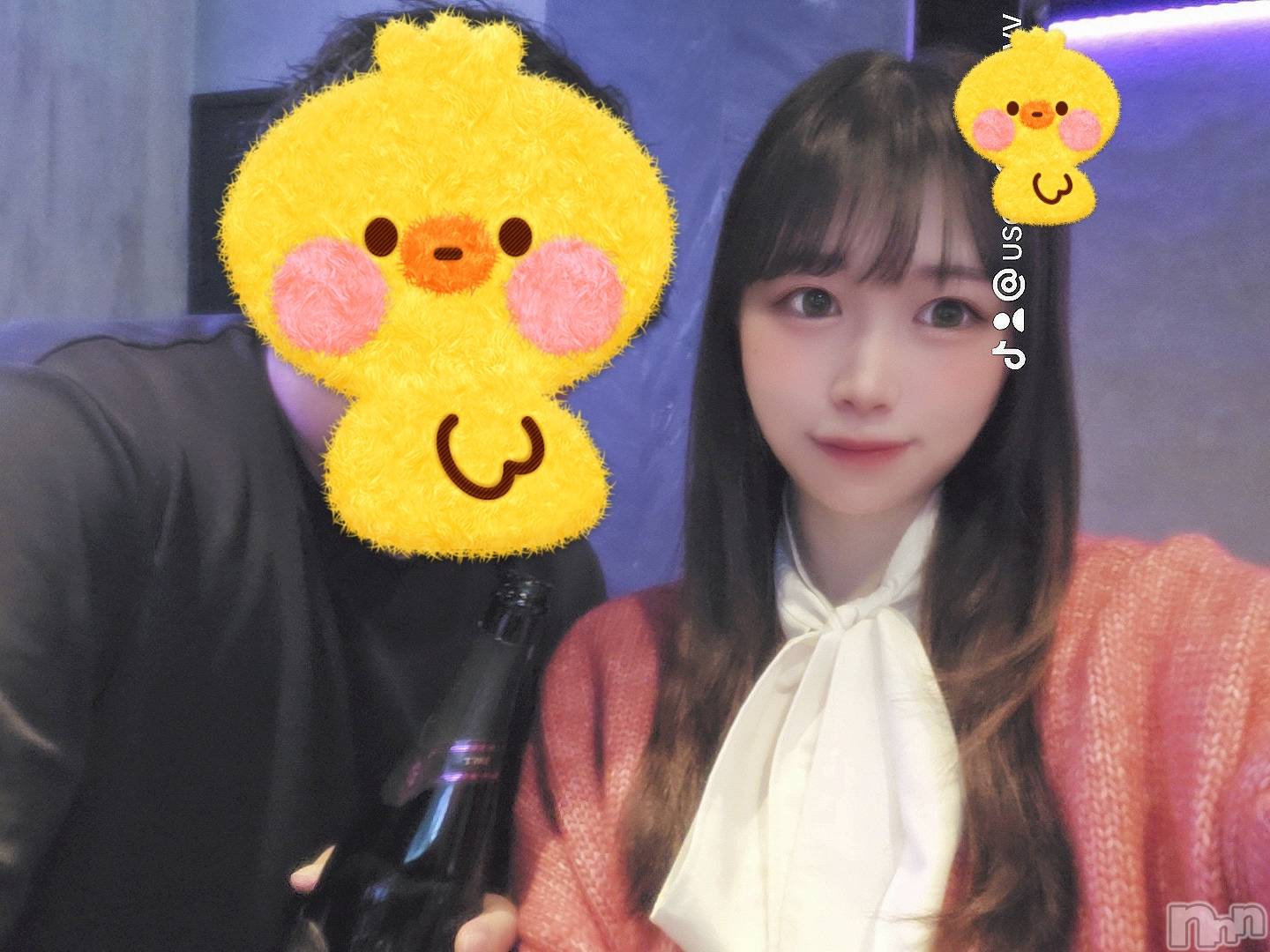 ʥå륺СʥåBar Peace(ʥåС ԡ) 2025ǯ115̥֥֤Ϥ褦ޤ