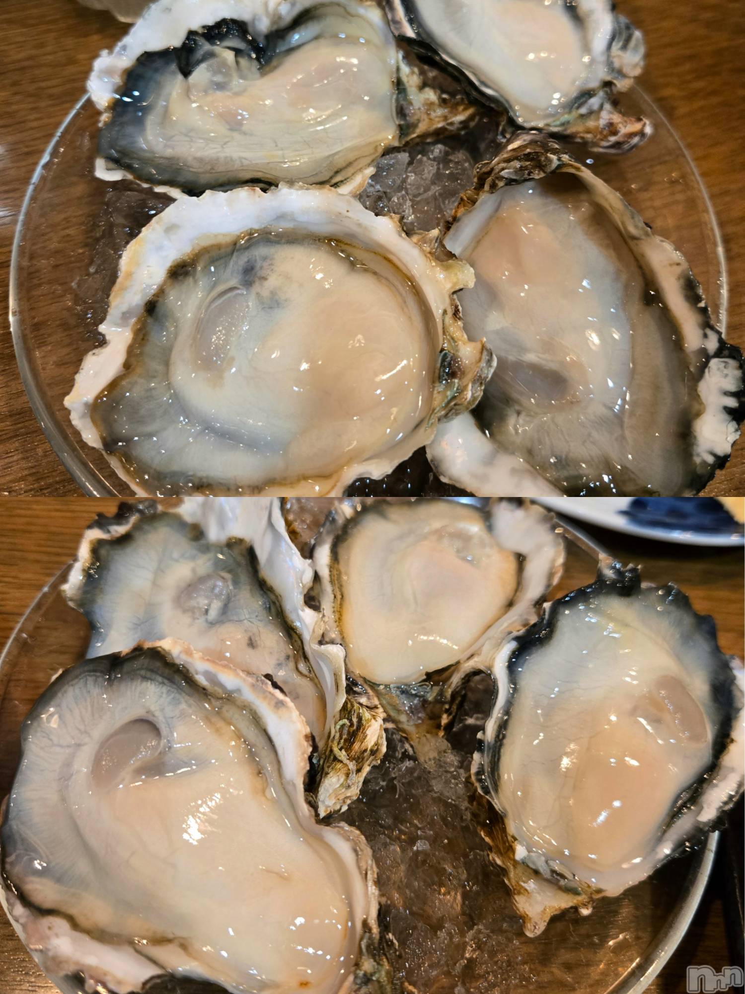 ����������ʥå��������륺�С����ʥå�Bar Peace(���ʥå��С� �ԡ���) ��2025ǯ12��28���̥�֥����ְ����Ƥޤ�🦪🩷🩷��