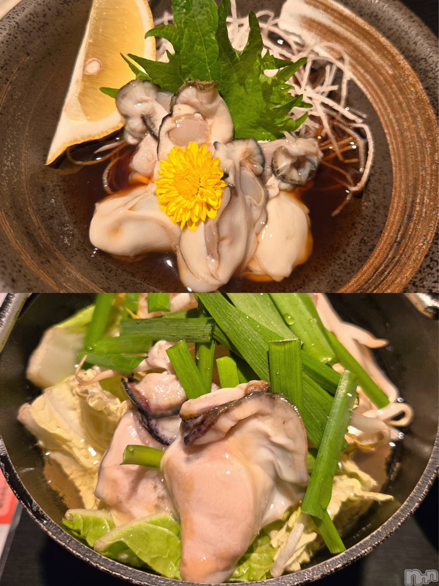 ����������ʥå��������륺�С����ʥå�Bar Peace(���ʥå��С� �ԡ���) ��2026ǯ1��10���̥�֥�����🦪🦪🤍��