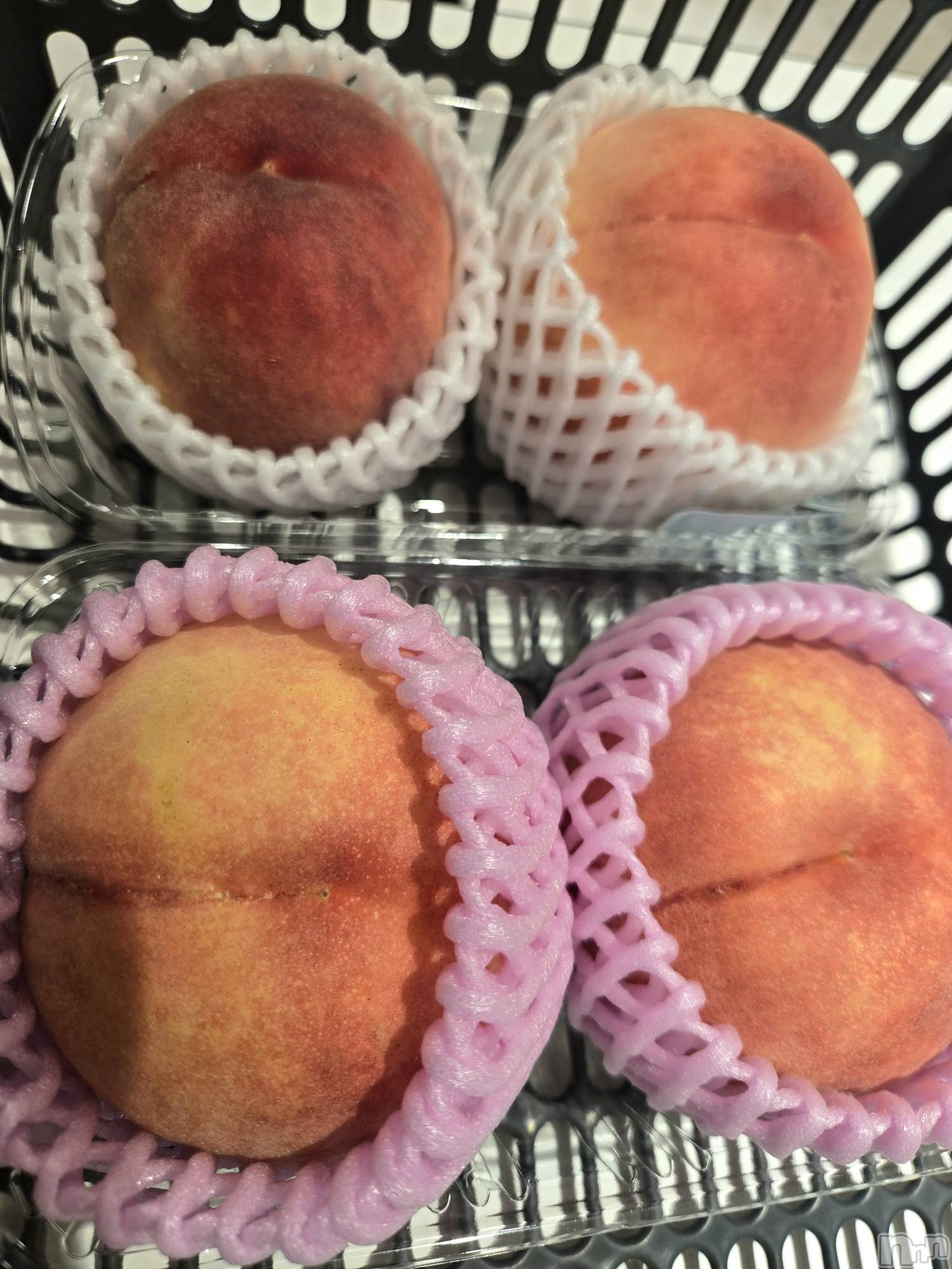 ����������ʥå��������륺�С����ʥå�Bar Peace(���ʥå��С� �ԡ���) ��2026ǯ8��17���̥�֥�����ʳȯ🍑��