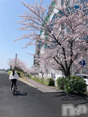 ʥå륺СʥåBar Peace(ʥåС ԡ) ҥʤ413ָ̥֥֤🌸🚲🍻
