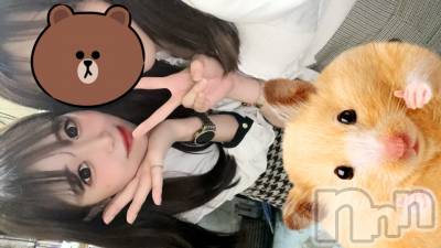 ʥå륺СʥåBar Peace(ʥåС ԡ) ҥʤ96̥֥֤̤
