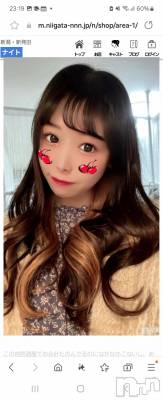 ʥå륺СʥåBar Peace(ʥåС ԡ) ҥʤ221̥֥֤