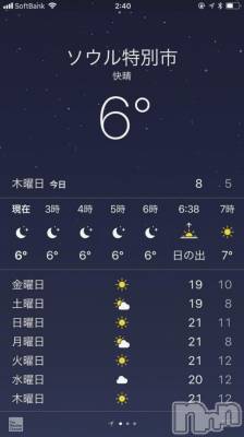 ʥå륺СʥåBar Peace(ʥåС ԡ) ҥʤ1013ֹ̥֥