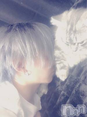 ʥå륺СʥåBar Peace(ʥåС ԡ) ҥʤ927̥֥֥ͥåȥѡʸλ