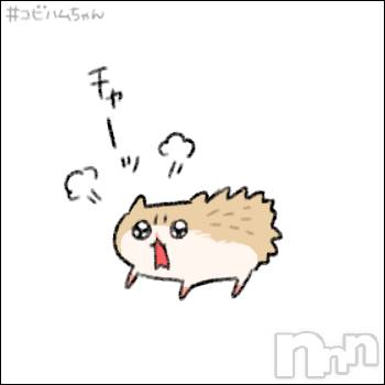 ʥå륺СʥåBar Peace(ʥåС ԡ) ҥʤ97̥֥֤ꤤ