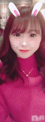 ʥå륺СʥåBar Peace(ʥåС ԡ) ҥʤ222̥֥֤ʤ󤫤ؤ