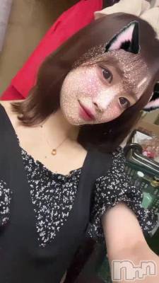 🐱