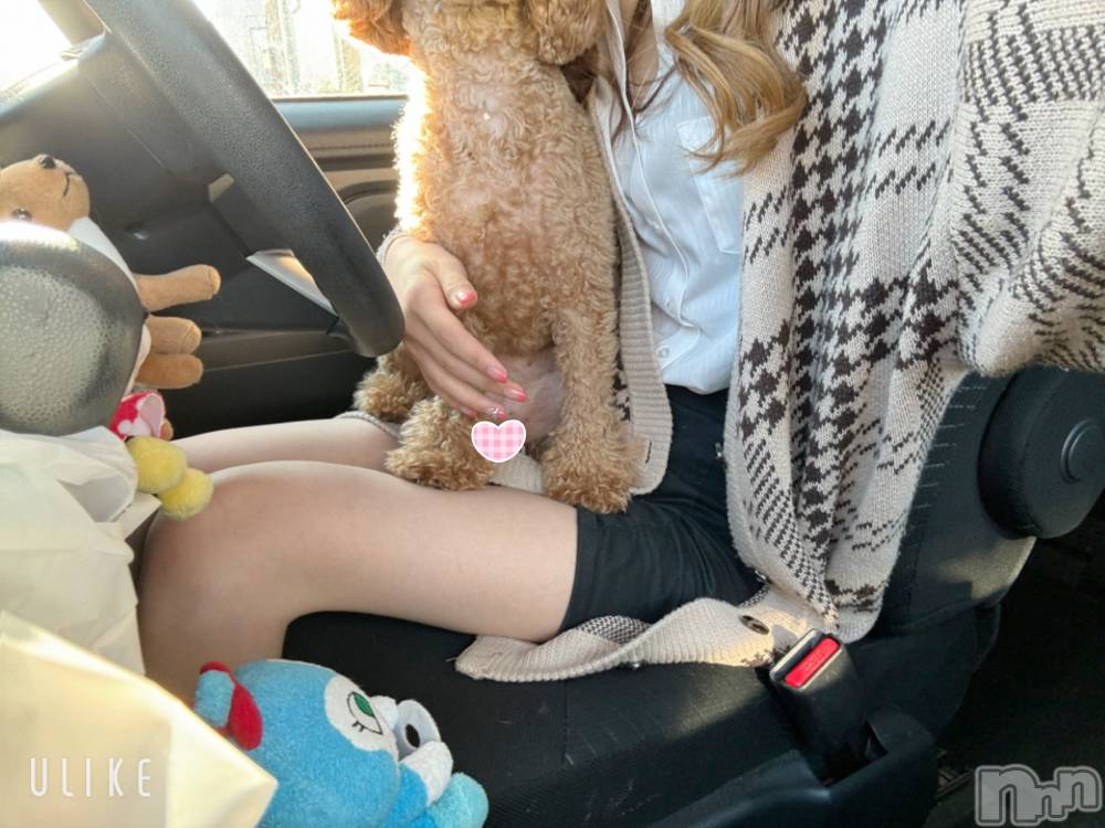 新潟手コキCherish Amulet(チェリッシュ アミュレット) はむ★(21)の2月14日写メブログ「はむの車の中で撮影した。」