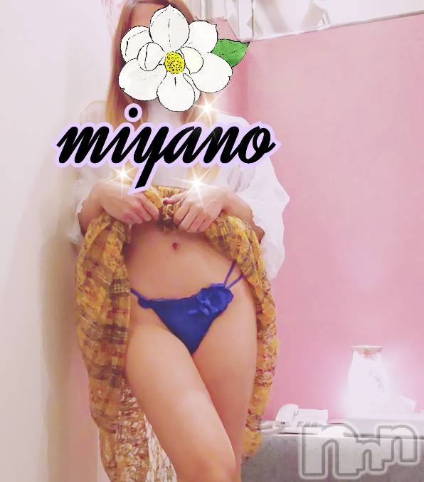 新潟デリヘルBIANCA～主人の知らない私～新潟店(ビアンカニイガタテン)宮野　りさ(32)の2019年12月3日写メブログ「無地？柄？ふんどし？」