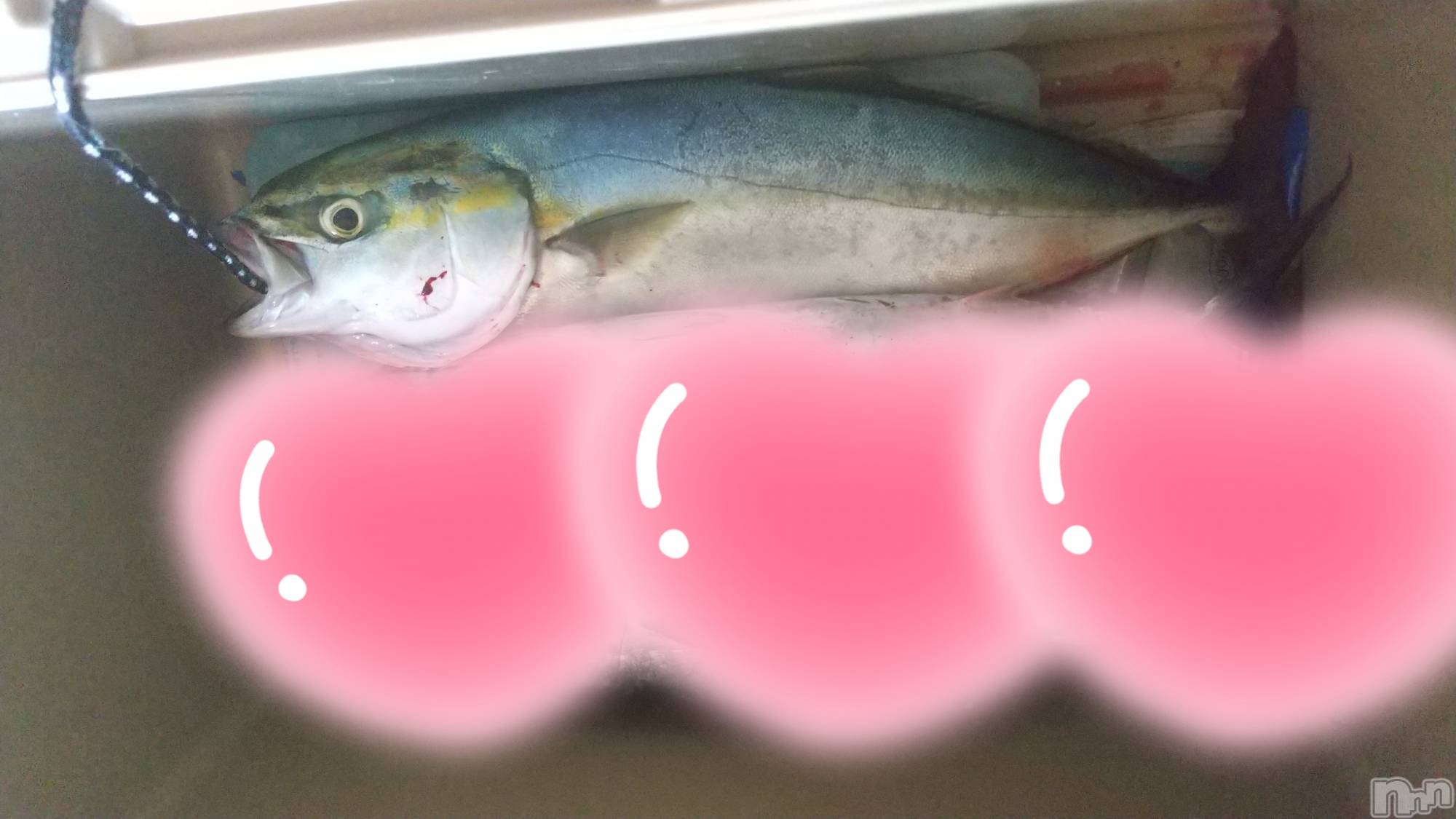 新潟デリヘルBIANCA～主人の知らない私～新潟店(ビアンカニイガタテン)宮野　りさ(32)の2022年10月4日写メブログ「午前中のうちに」