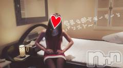 新潟デリヘルBIANCA～主人の知らない私～新潟店(ビアンカニイガタテン) 宮野　りさ(33)の1月5日写メブログ「猫好きさまへ」