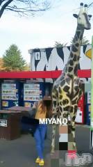 新潟デリヘルBIANCA～主人の知らない私～新潟店(ビアンカニイガタテン) 宮野　りさ(32)の11月13日写メブログ「変なとこが筋肉痛だ～」