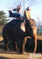 新潟デリヘルBIANCA～主人の知らない私～新潟店(ビアンカニイガタテン) 宮野　りさ(32)の12月3日写メブログ「サファリパークブーム」