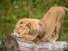 新潟デリヘルBIANCA～主人の知らない私～新潟店(ビアンカニイガタテン) 宮野　りさ(32)の7月18日写メブログ「ショック」