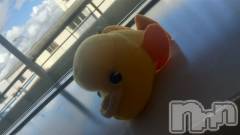 新潟デリヘルBIANCA～主人の知らない私～新潟店(ビアンカニイガタテン) 宮野　りさ(33)の9月15日写メブログ「え、かわいい。」