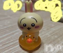 新潟デリヘルBIANCA～主人の知らない私～新潟店(ビアンカニイガタテン) 宮野　りさ(33)の3月5日写メブログ「生理休暇」