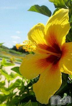 三条デリヘル(ブルームーン)の2016年10月19日お店速報「お休みのお知らせ」