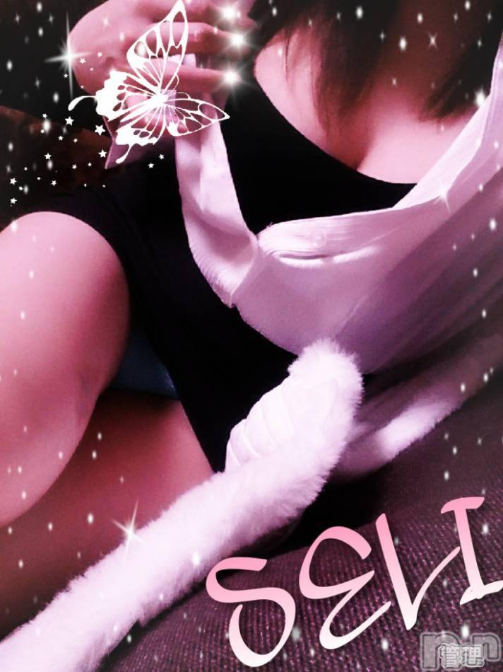 三条デリヘル(ブルームーン)の2017年5月3日お店速報「お出掛け日和はブルム日和」