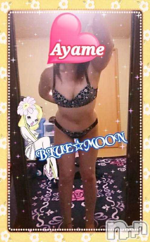 三条デリヘル(ブルームーン)の2019年11月30日お店速報「これからすぐご案内可能です(⌒∇⌒)お電話お待ちしております」