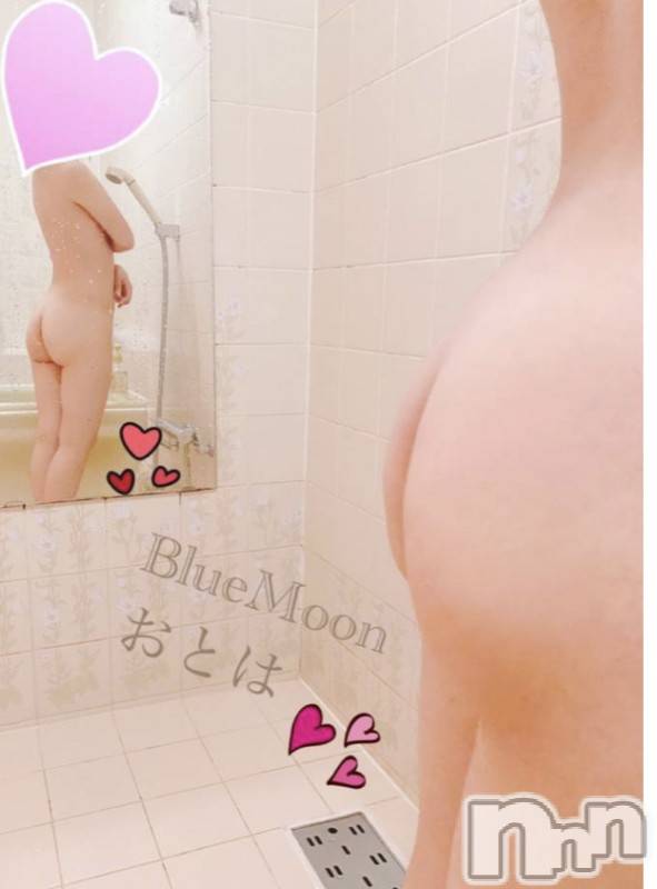 三条デリヘル(ブルームーン)の2020年11月22日お店速報「キャンペーン開催中！ロリっ子新人おとはちゃん18時～♡」