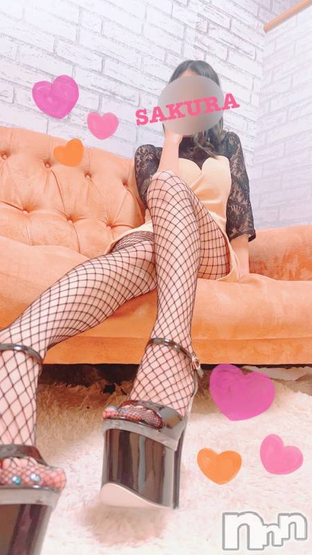 三条デリヘル(ブルームーン)の2024年6月4日お店速報「さくらちゃん♡13:30からのご案内可能です」
