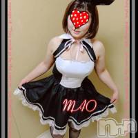 三条デリヘル コスプレ専門店　BLUE MOON(ブルームーン)の11月17日お店速報「本日はお姉さまプリンセスの共演です♪」