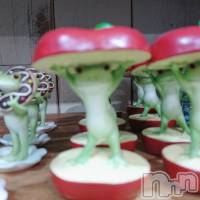 三条デリヘル コスプレ専門店　BLUE MOON(ブルームーン)の8月13日お店速報「《お知らせ》」