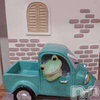 三条デリヘル コスプレ専門店　BLUE MOON(ブルームーン)の8月14日お店速報「《営業再開のお知らせ》」