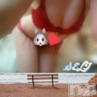 三条デリヘル コスプレ専門店　BLUE MOON(ブルームーン)の8月17日お店速報「これからすぐお伺い出来ます(*‘ω‘ *)」