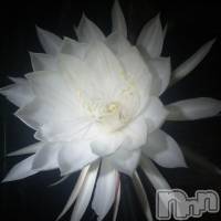 三条デリヘル コスプレ専門店　BLUE MOON(ブルームーン)の9月13日お店速報「僕のブログ」