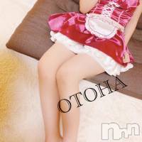 三条デリヘル コスプレ専門店　BLUE MOON(ブルームーン)の3月19日お店速報「期待大の素人娘が芽吹く時!?」