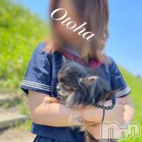 三条デリヘル コスプレ専門店　BLUE MOON(ブルームーン)の6月25日お店速報「期間イベント！65分一万ぽっきり！」