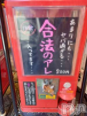 長岡デリヘル フェイム長岡店　地元の子と会える！地域密着専門店(フェイムナガオカテン) ゆり☆ドS痴女(31)の8月29日写メブログ「秘密の課外授業☆」