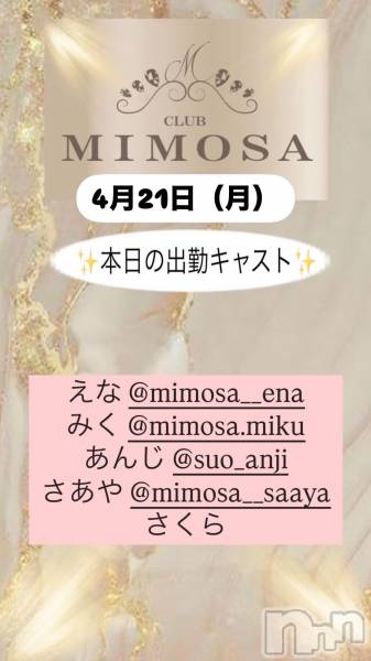 ĮХ顦CLUB MIMOSA(֥ߥ⥶)  2025ǯ421̥֥νжХ㥹😆‼️