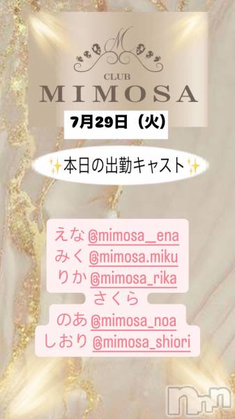 ĮХ顦CLUB MIMOSA(֥ߥ⥶)  2025ǯ729̥֥νжХ㥹‼️