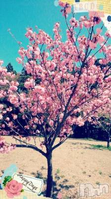 新潟デリヘル BIANCA～主人の知らない私～新潟店(ビアンカニイガタテン) 茅野　ゆか(37)の7月29日写メブログ「ありがとうございました」