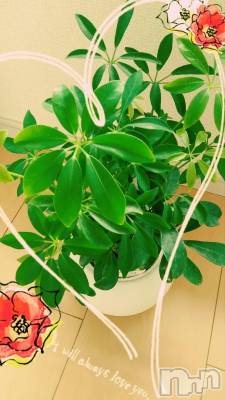 新潟デリヘル BIANCA～主人の知らない私～新潟店(ビアンカニイガタテン) 茅野　ゆか(36)の5月11日写メブログ「遅くなりましたが昨日のお礼です(^-^)」