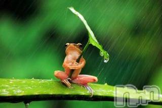 松本発デリヘルVANILLA(バニラ)あき(21)の2015年6月3日写メブログ「雨だ、雨だ、雨だー(･･;)」