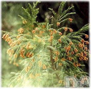 松本発デリヘル VANILLA(バニラ) あき(21)の4月9日写メブログ「ずるずるー(;_;)」