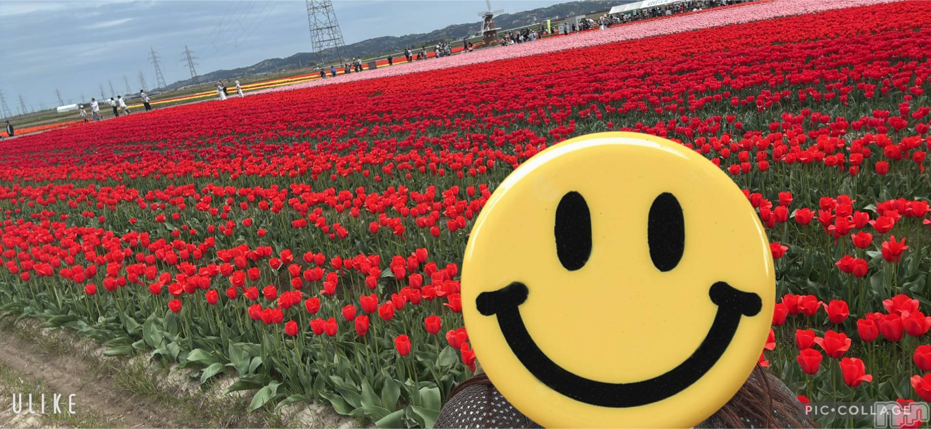 新潟デリヘルENDLESS-安心の地元新潟の素人のみ-(エンドレス)セラ☆リピート率No.１(40)の2026年4月20日写メブログ「癒された一日🥰💕」